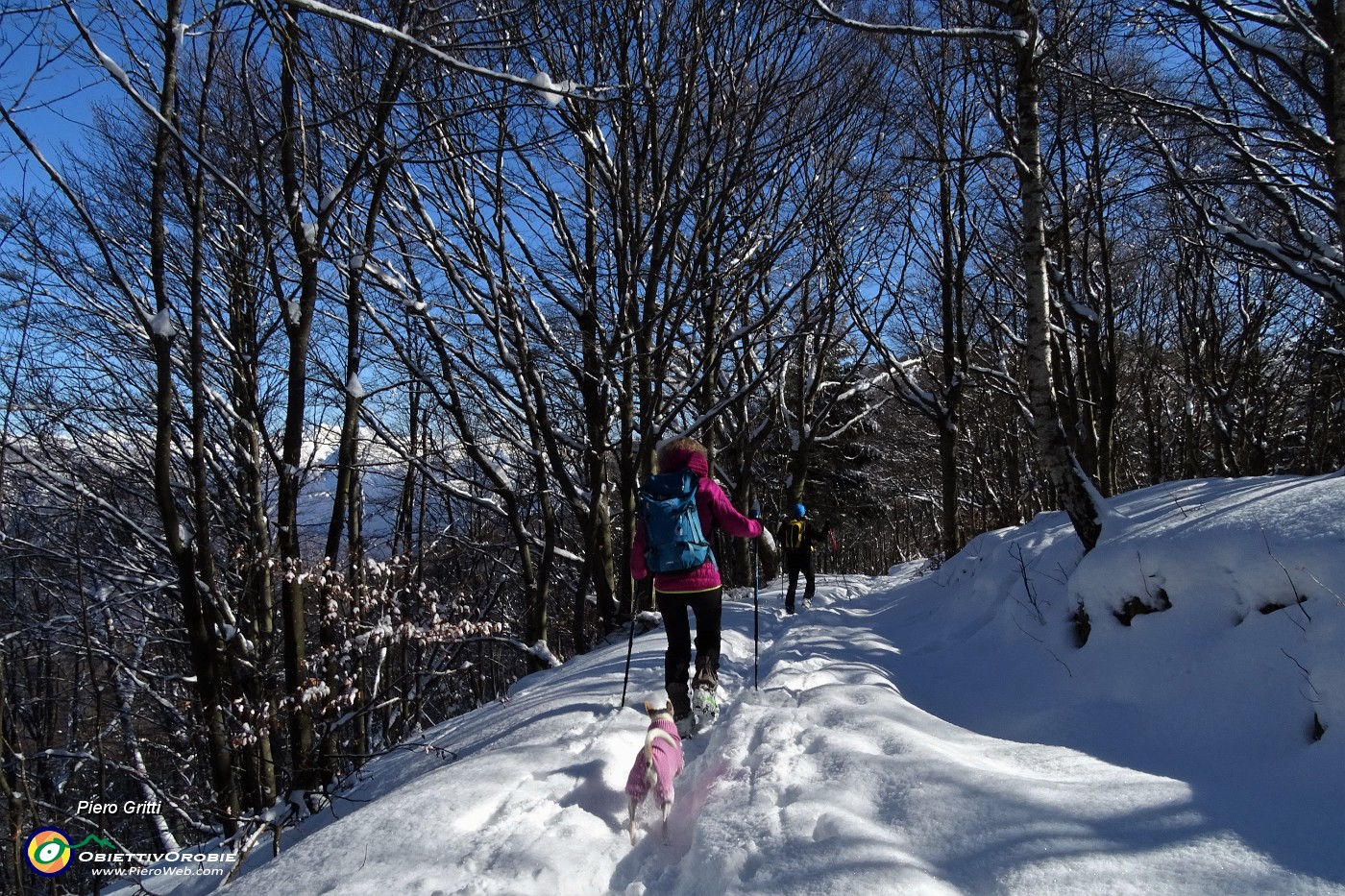 42 In discesa dallo Zuc di Valbona  tracciamo su neve intatta.JPG